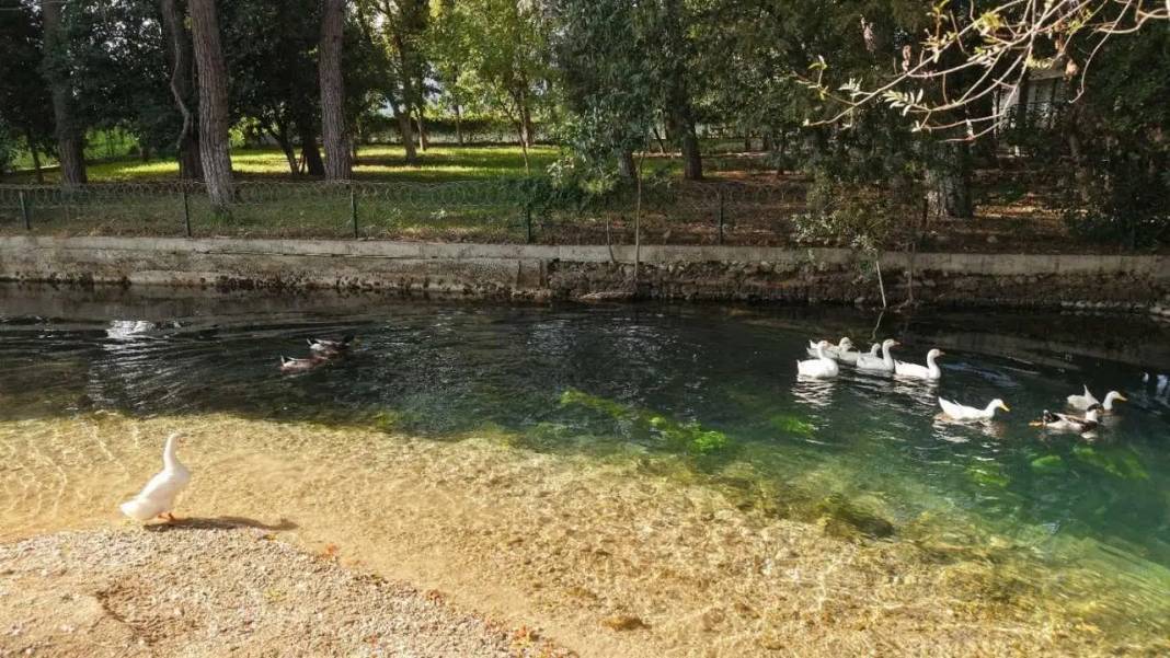 Adana’da Roma Mirası Doğayla İç İçe! Ziyaretçileri Büyülüyor 6